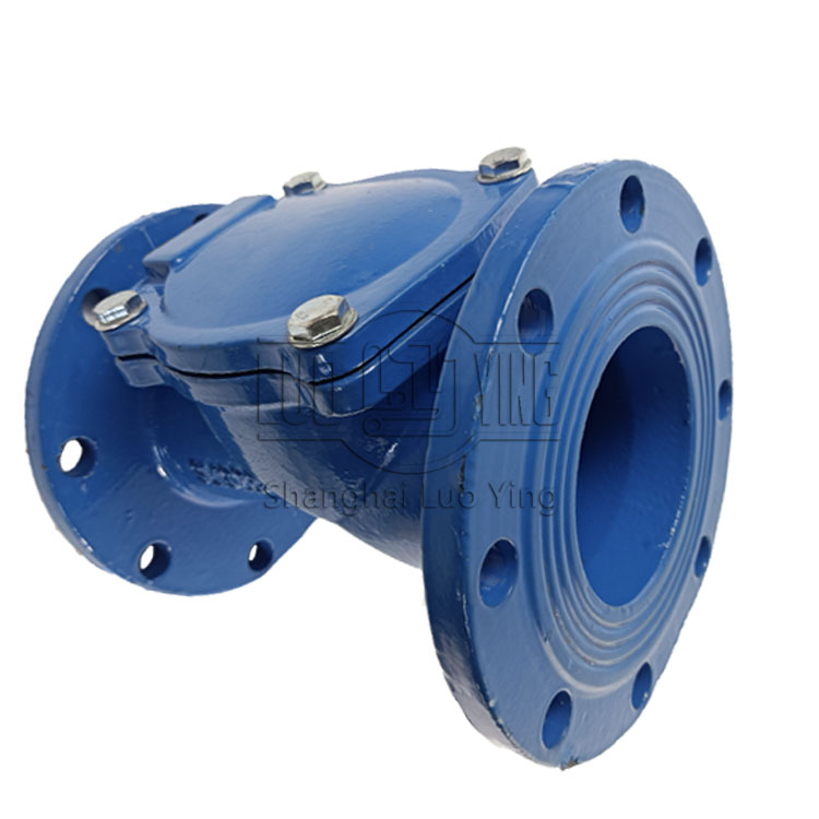 Rubber flap check valve
