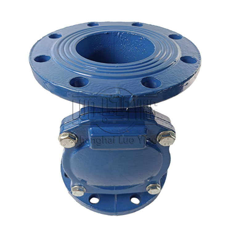Rubber flap check valve
